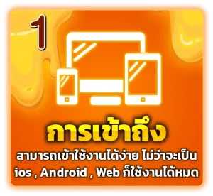 การเข้าถึงง่าย